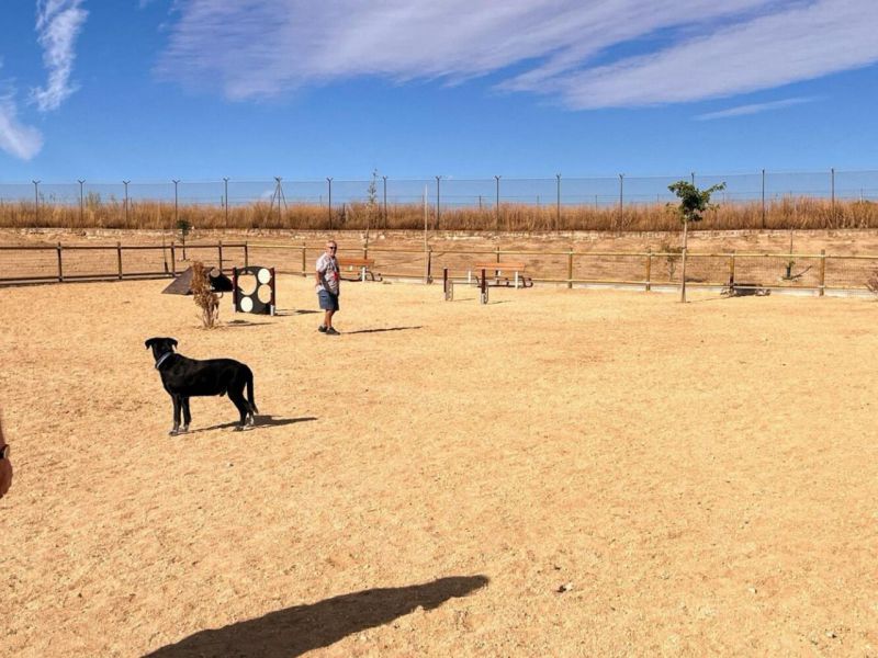 Áreas caninas de Madrid