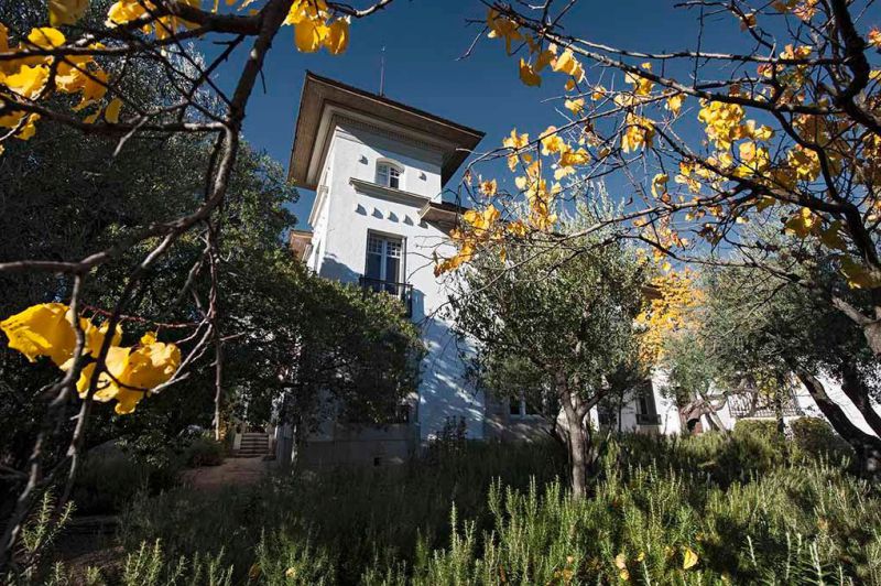 Fundacion Menendez Pidal 2025 