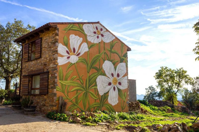 Paredes que Hablan 2025, Berzosa