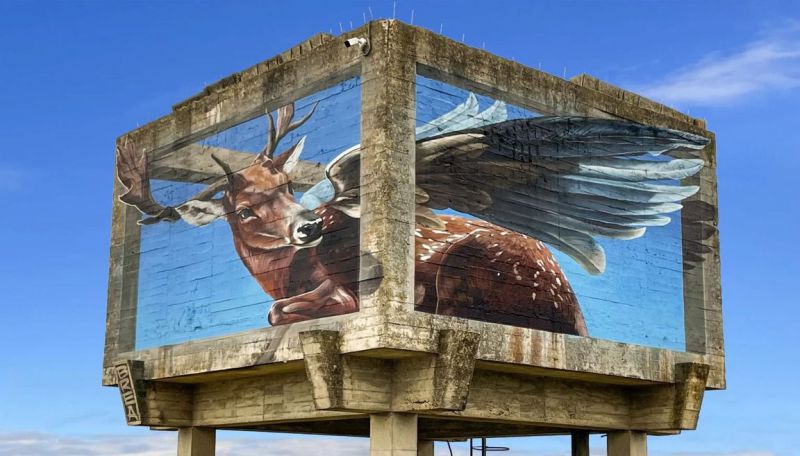 Paredes que Hablan 2025, Venturada