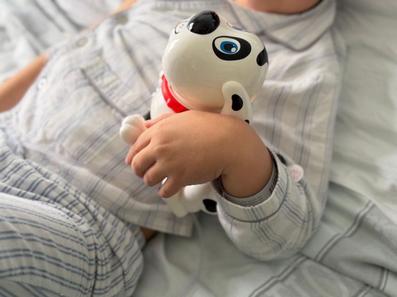 Bomberos San Rafael 2026