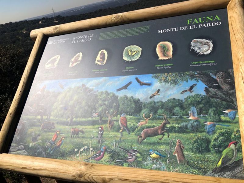 75º Aniversario anexión El Pardo Madrid