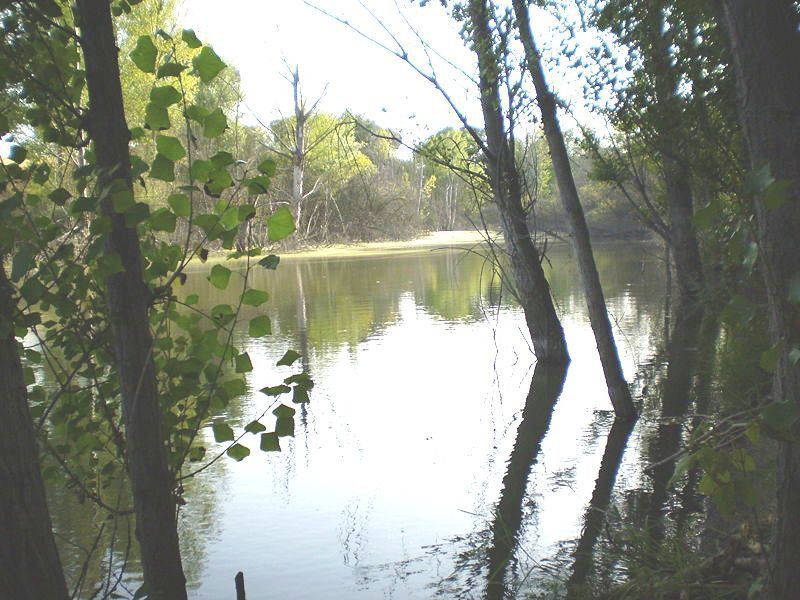 75º Aniversario anexión El Pardo Madrid