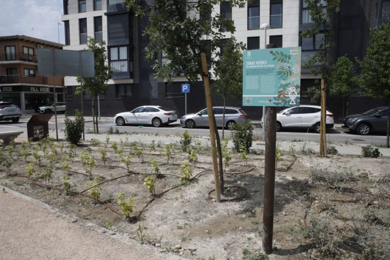 Barajas estrena un jardín con ecosistema mediterráneo