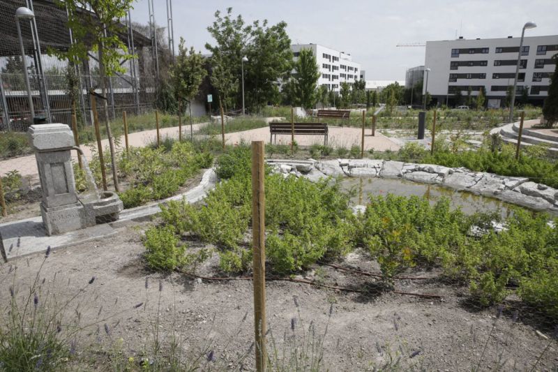 Barajas estrena un jardín con ecosistema mediterráneo