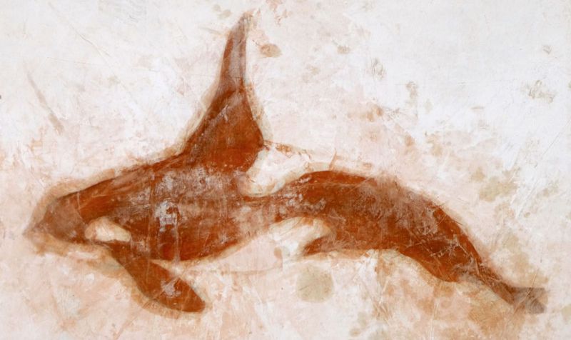 Moby Dick exposicion Casa de Vacas Madrid 2026