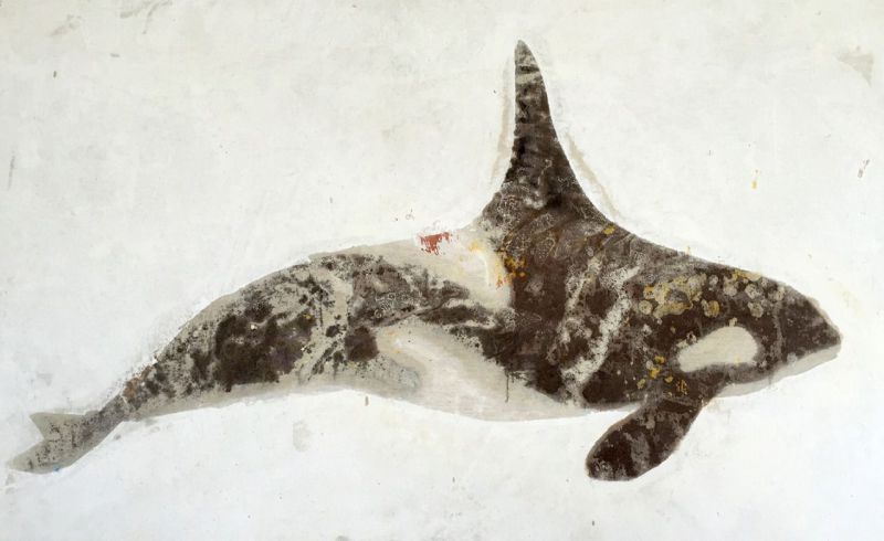 Moby Dick exposicion Casa de Vacas Madrid 2026