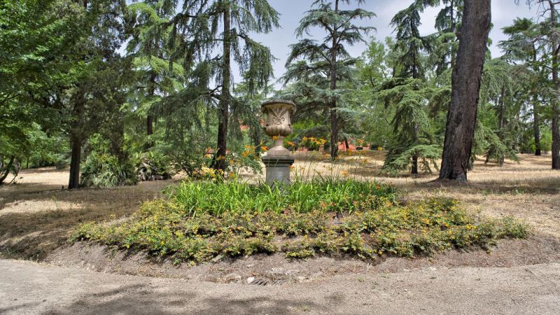 Parque Quinta de Torre Arias, Madrid