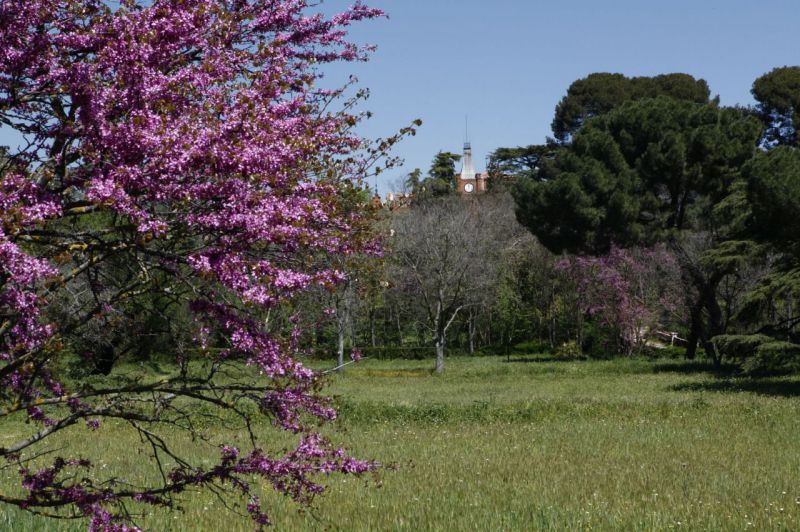 Parque Quinta de Torre Arias, Madrid