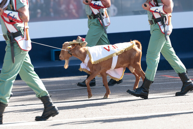 Fiesta Nacional desfile Madrid 2026