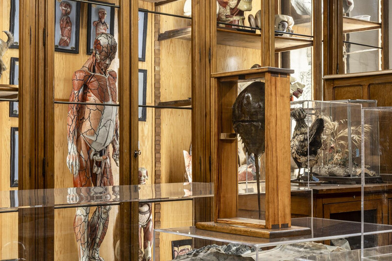 Visitas a institutos históricos de Madrid