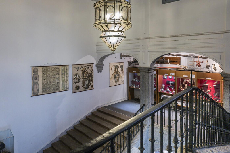 Visitas a institutos históricos de Madrid